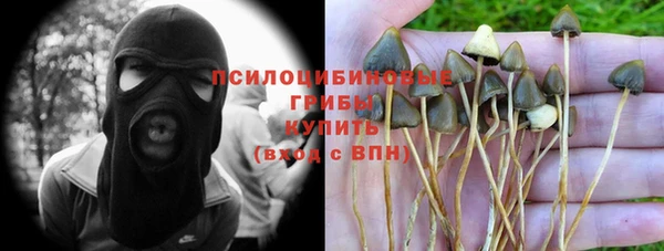 герыч Алексин