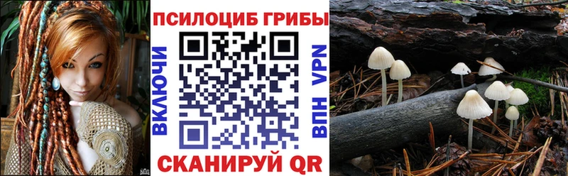 где найти   Всеволожск  Псилоцибиновые грибы мухоморы 