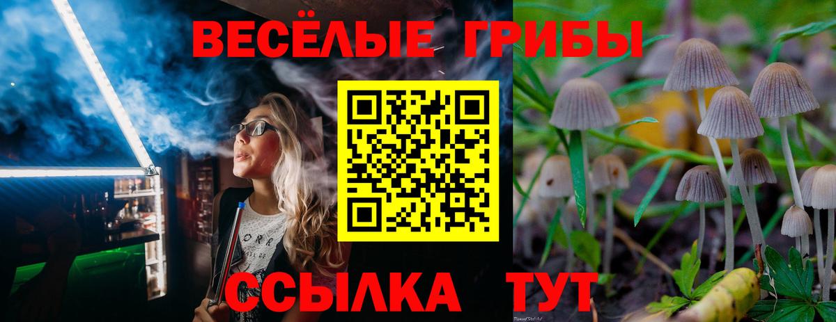Всеволожск  Псилоцибиновые грибы ЛСД  наркошоп  Вход с VPN  Галлюциногенные грибы Cubensis 