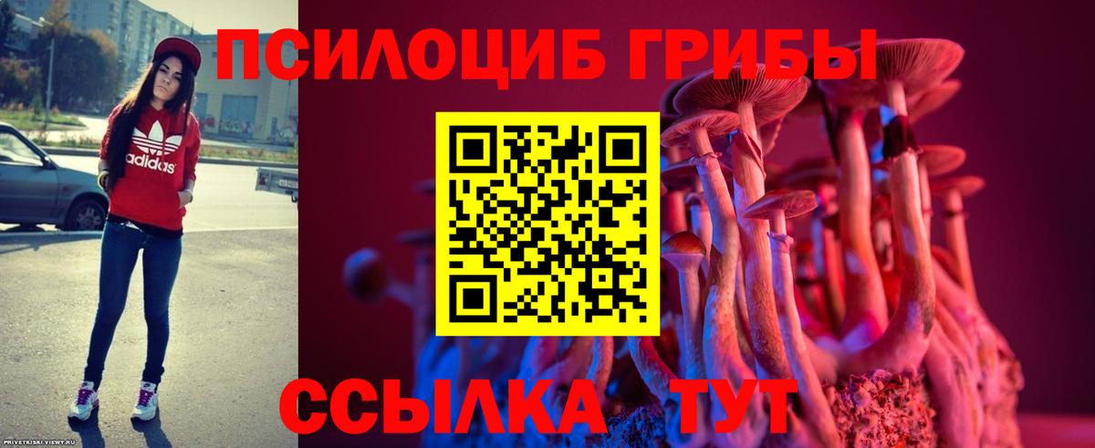 Галлюциногенные грибы мухоморы Всеволожск