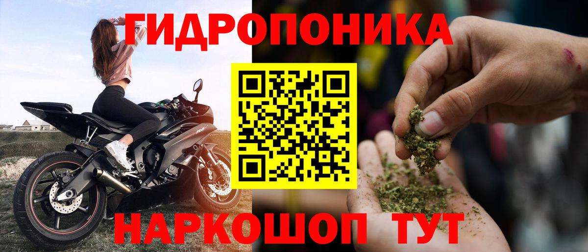 ГАШ Всеволожск